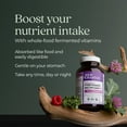 thumbnail image 5 of New Chapter Every Woman's One Daily 40+, Women's Multivitamin for Energy, Healthy Aging + Immune Support, 30 tablets, 5 of 10