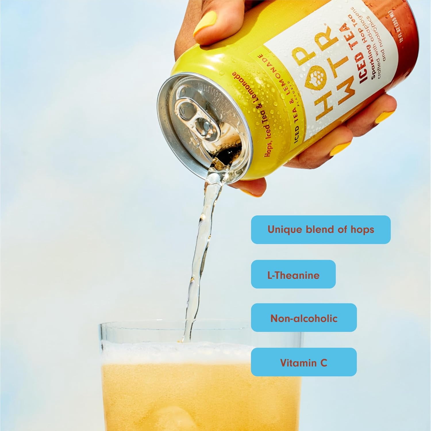 HopWtr - Non-Alcoholic Sparkling Hop Iced Tea & Lemonade, 6-Pack, 12oz Cans