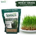 Nature Jims Sprouts Wheatgrass MMF7 Seeds 100 Organic Wheat Seed for