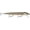Gilded Brown Trout, variant on Rapala Original Floater Elite Jerkbait 120 Gilded Gold Shad