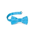 thumbnail image 1 of Gravity Threads Classic Pre-tied Adjustable Fashion Bowtie, Sky, 1 of 2