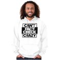 thumbnail image 5 of Can't Fact Check Crazy Funny Insult Hoodie Sweatshirt Women Men Brisco Brands X, 5 of 6
