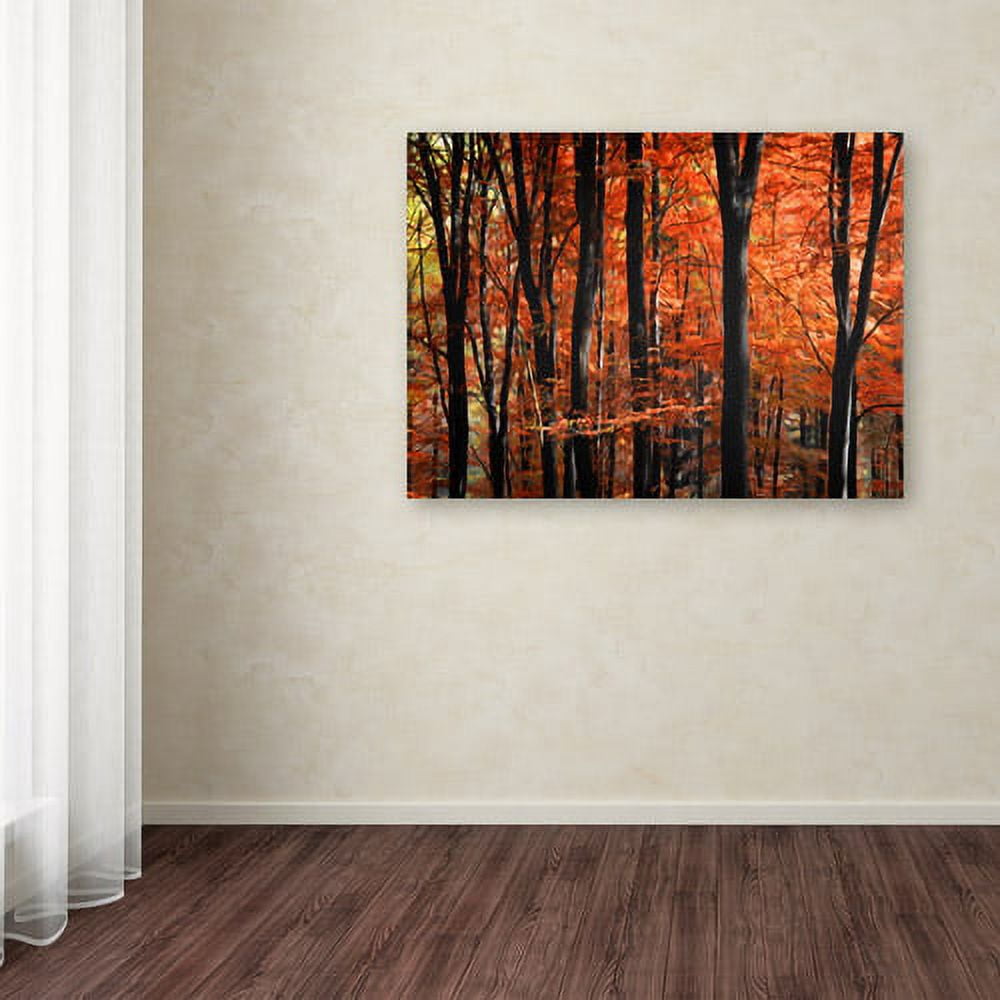 Trademark Fine Art "Indisputable Truth" Canvas Art by Philippe Sainte-Laudy