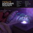 Enbrighten Ecoscapes WiFi Galaxy Night Light Projector with Soothing