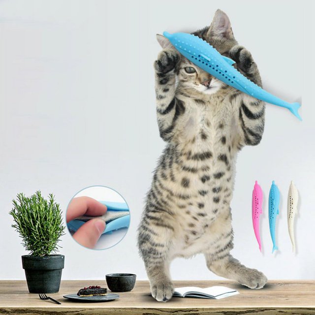 Juguetes de hierba gatera para gatos JANDEL, cepillo de dientes interactivo para gatos, juguete para masticar para gatitos, limpieza dental, cuidado dental, juguete con forma de pez para mascotas.