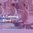 thumbnail image 4 of Complementa el bisglicinato de magnesio en polvo de Natural Factors Stress-Relax Nighttime con melatonina, L-teanina y sabor tropical Pharma GABA, 125 ml, 4 of 9
