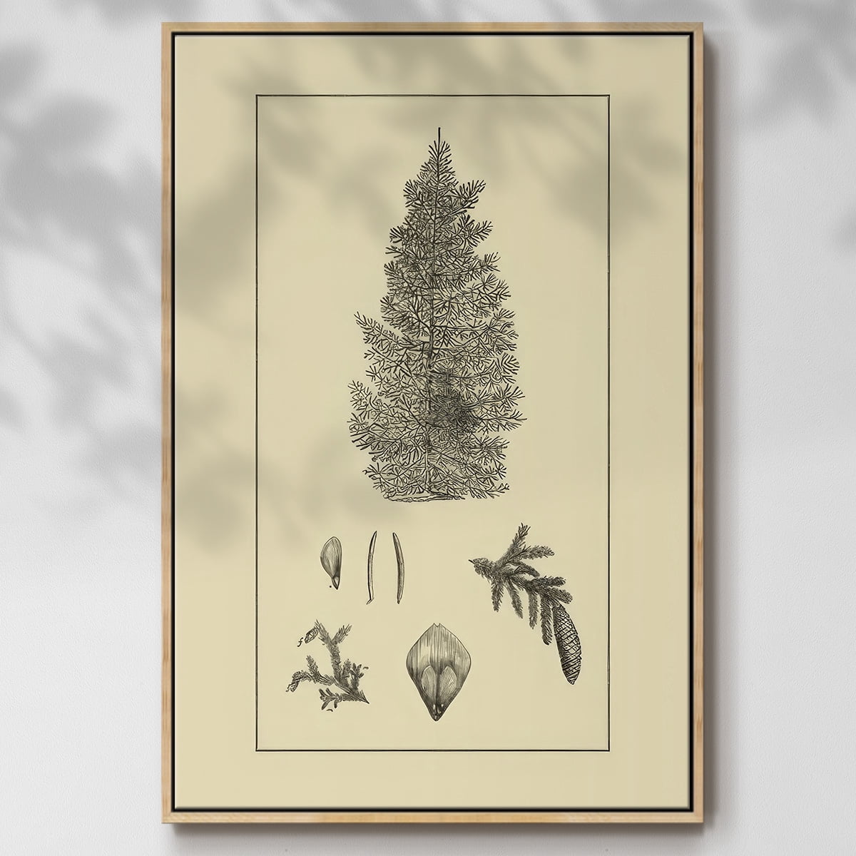 Arbor Study I - Framed Gallery Wrapped Holiday Canvas - 17 x 25 - Natural Wood Frame