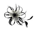 thumbnail image 1 of Vintage Wedding Party Feather Mujer Hatinator Pinza De cabellero Yuyangstore Pinza para el cabello, 1 of 8
