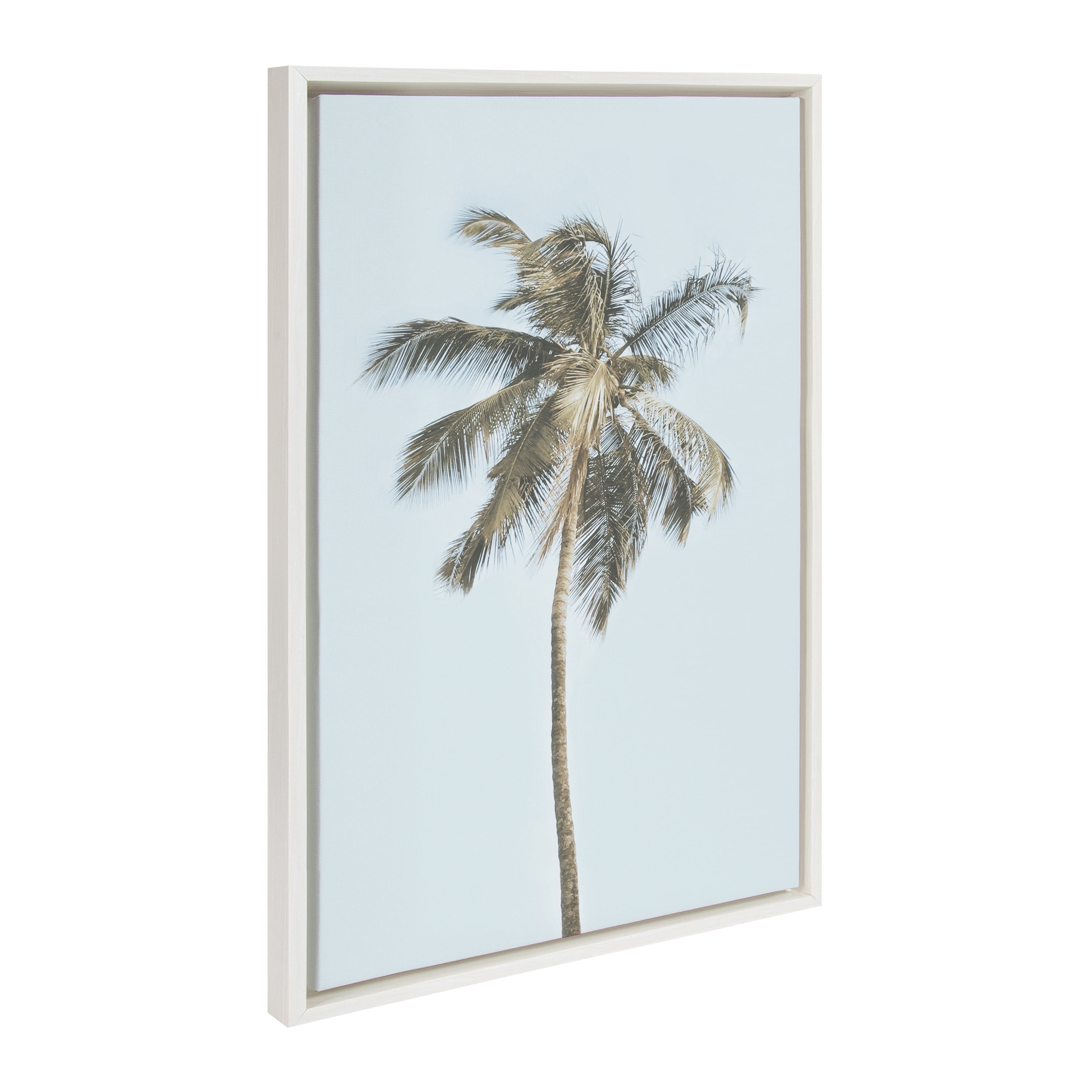 Kate and Laurel Sylvie One Coconut Palm Tree Framed Canvas Wall Art by the Creative Bunch Studio 23x33 White Coastal Art for Wall