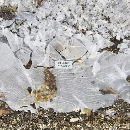 Tim Barnes - Lost Words - Music & Performance - Vinyl