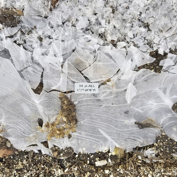 Tim Barnes - Lost Words - Music & Performance - Vinyl