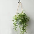 thumbnail image 4 of Hooks Hanging Ceiling Hook Kit in White Finish - Durable Pack for Lightweight Items, 4 of 4