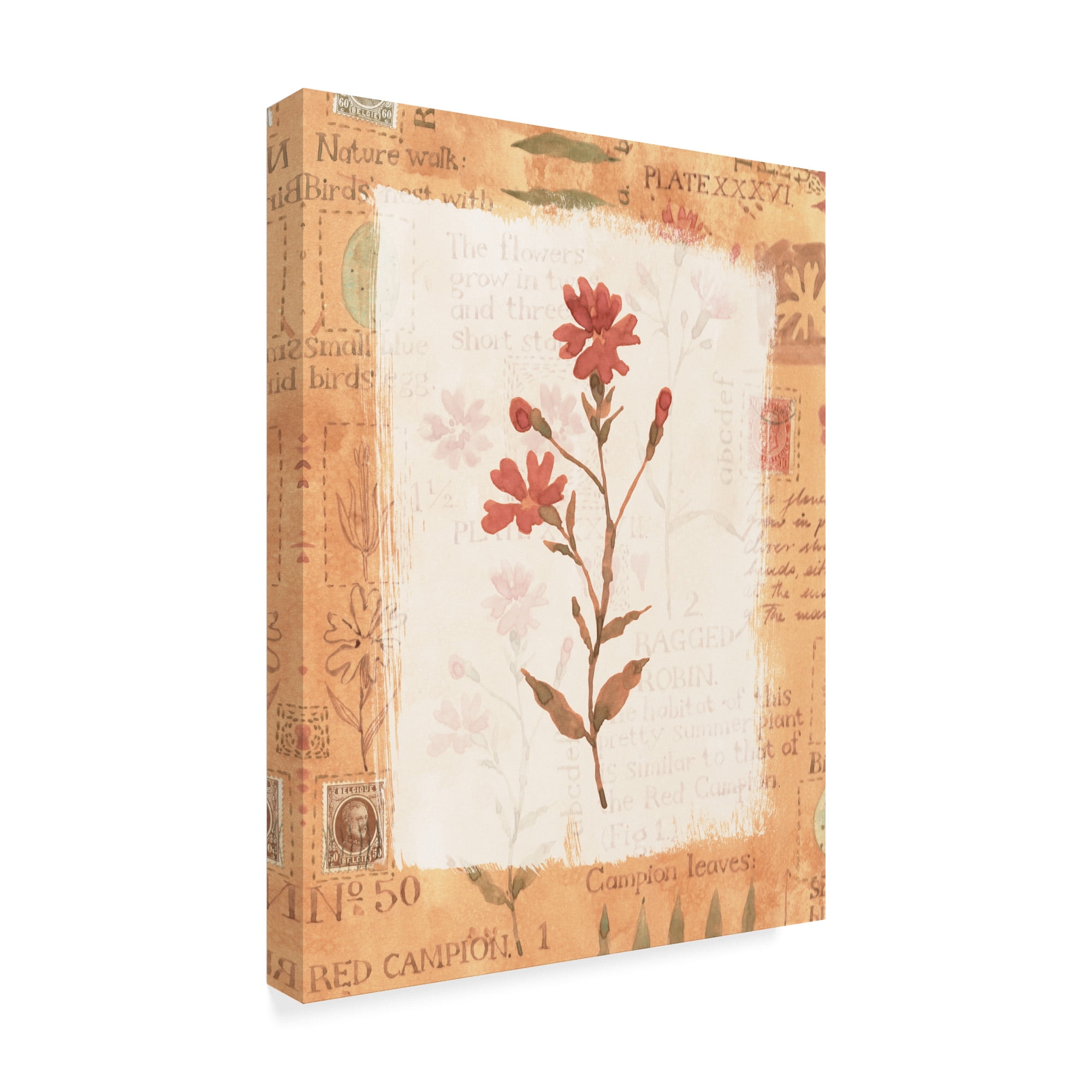 Trademark Fine Art 'Red Flower Rustic' Canvas Art by Hope Street Designs