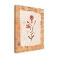thumbnail image 2 of Trademark Fine Art 'Red Flower Rustic' Canvas Art by Hope Street Designs, 2 of 3