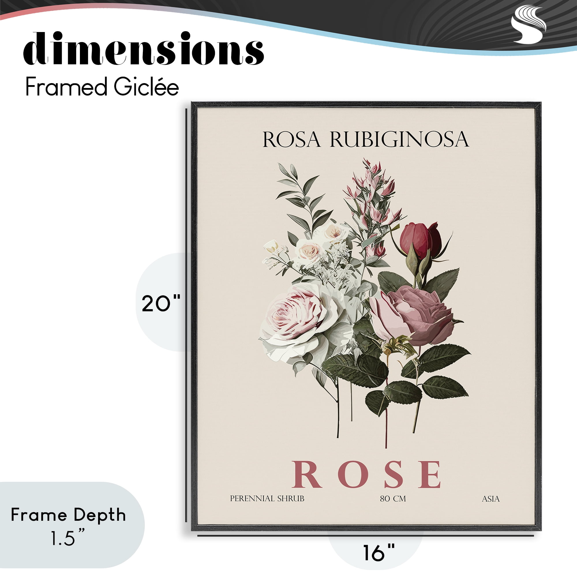Stupell Industries Natural Rose Bundle Black Framed Giclee Art, design by Christopher Giampietro