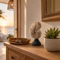 thumbnail image 4 of Byndra Resin Conch Shell Ornaments, Mediterranean Seashell Table Decor Set, Coastal Accent Sculptures for Living Room, Shelf, Desk and Display, Wall Door and Room Decor Accent, 4 of 6