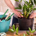 thumbnail image 3 of 3 Pieces Gardening Tools, Stainless Steel Garden Tools, Gardening Tool Set, Adult Gardening Kit, Gardening Shovel, Small Rakes and Shovels, for Small Garden Work (Green), 3 of 3