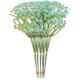 thumbnail image 1 of 6/36 Uds flores artificiales de Gypsophila falso aliento de bebé ramo de seda decoración de boda, 1 of 9
