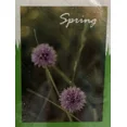 thumbnail image 2 of PURELY- True Living Garden Flag 12.5” X 18” - Spring/Flowers - New, 2 of 3