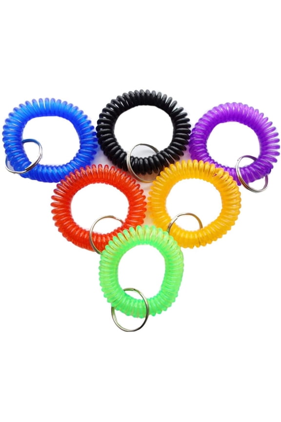 Pack of 6 Colorful Spring Spiral Wrist Coil Key Chain, Wristband Key Ring