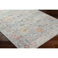 thumbnail image 3 of Mark&Day Washable Rugs, 3x4 Carli Traditional Denim/Charcoal Area Rug, Blue Grey Tan Carpet for Living Room, Bedroom or Kitchen (2'8" x 4', Machine Washable), 3 of 7