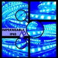thumbnail image 2 of Manguera LED unicolor de 25 metros AZUL- 120 LEDs 2835 por metro. IMPERMEABLE IP65 [Para interiores y exteriores] DOSYU 110V-2835-120P-25M, 2 of 8