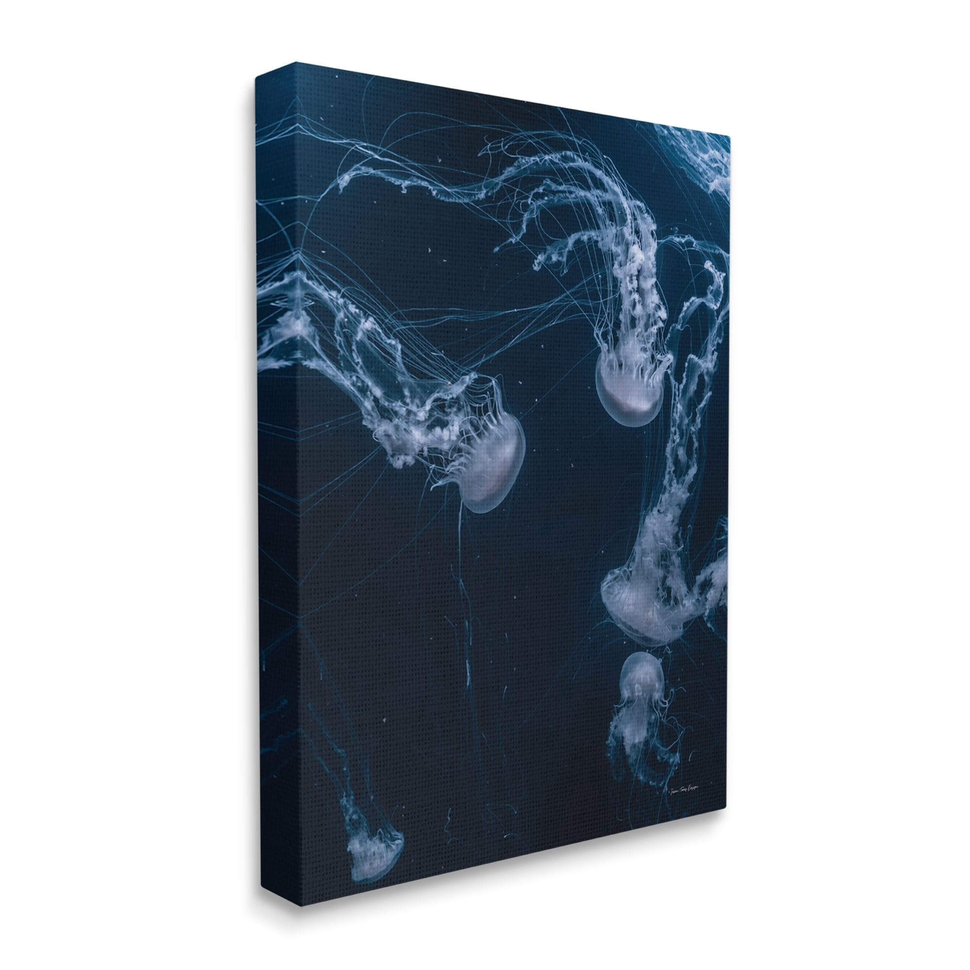 Stupell Industries Chilling Jellyfish Deep Ocean Fluid Marine Life Scene,36 x 48, Design by Seven Trees Design