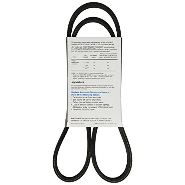 DAYCO BELTS/HOSES DRIVE RITE BELT
