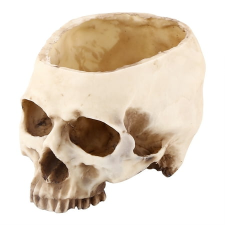 Skull Pot  Corrosion Resistance High Wear Resistance For Garden