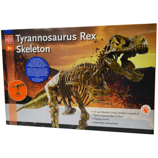 EduToys TRex Skeleton