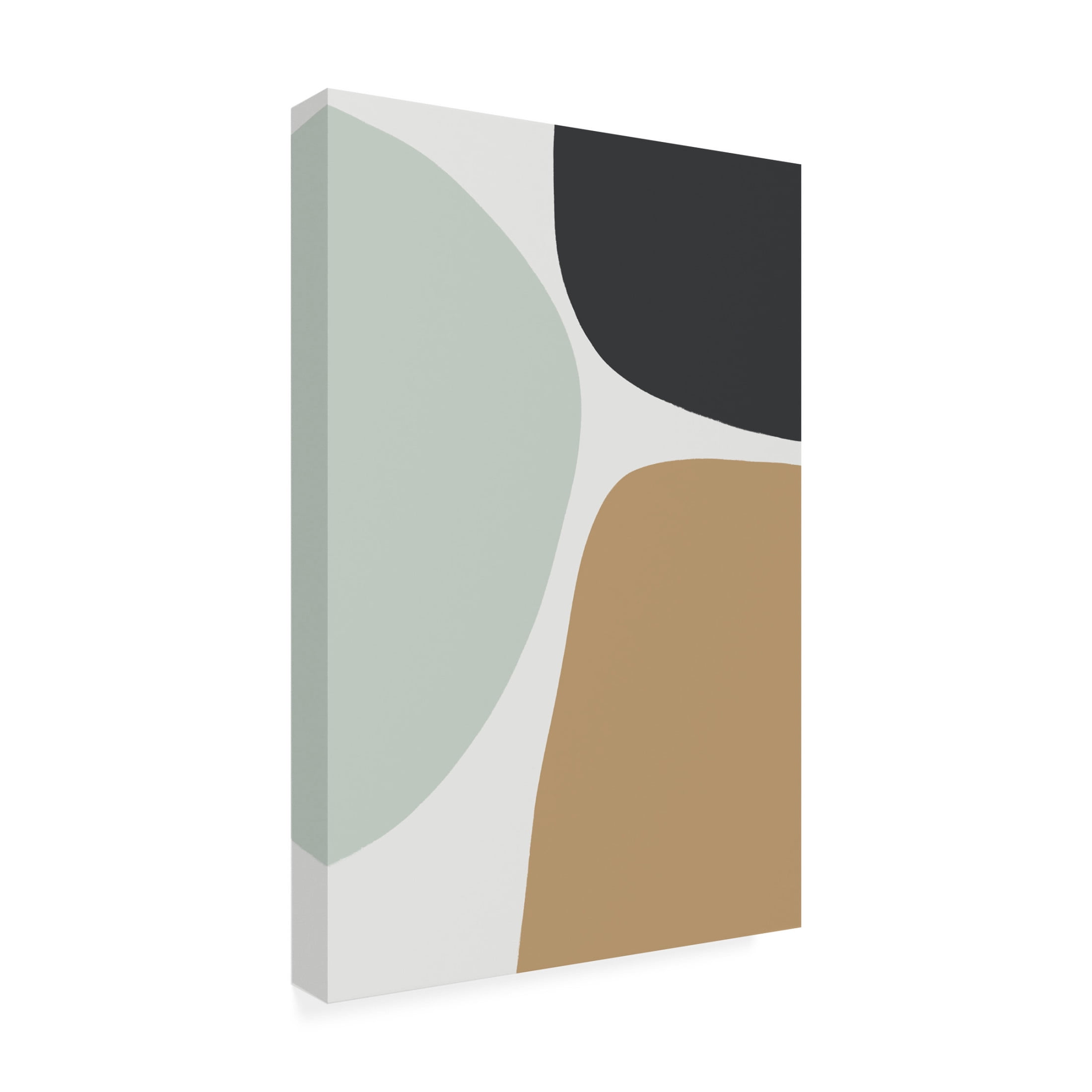 Trademark Fine Art uplusmestudio Natural Trio Canvas Wall Art