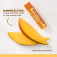 thumbnail image 2 of Paquete doble de bálsamo labial hidratante de mango Burt's Bees Mango Moisturizing Lip Balm Twin Pack Bálsamo labial Unisex 2 x 0.15 oz, 2 of 9
