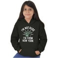 thumbnail image 4 of I'm From NY Proud NYC New Yorker Hoodie Sweatshirt Women Men Brisco Brands M, 4 of 5