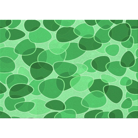 Ahgly Company Indoor Rectangle Patterned Lime Mint Green Area Rugs, 2' x 3'