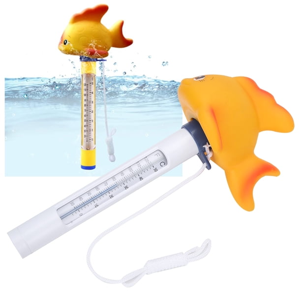 Gallery image with a fresh perspective
