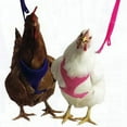 thumbnail image 6 of Valhoma Pet Chicken Harness and/or Leash Bright Fun Colors Pet Duck Goose, 6 of 9