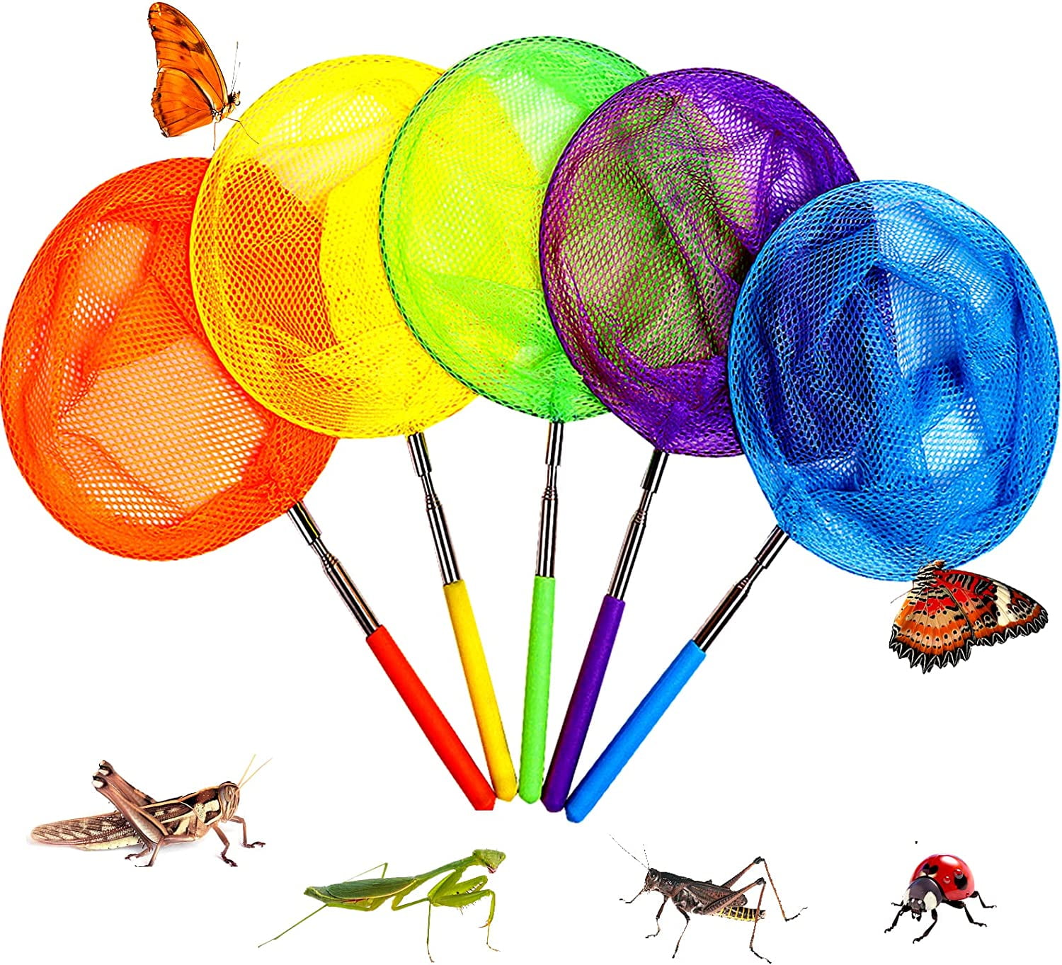 Red de pesca para niños, malla extensible, para atrapar insectos, mariposas y peces de bolsillo Red de pesca para niños, malla extensible, para atrapar insectos, mariposas y peces de bolsillo