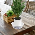 thumbnail image 1 of ADDHAT 3Ud Macetas De Para Plantas De Como Loto Y Uso Interior Y Exterior, 1 of 8