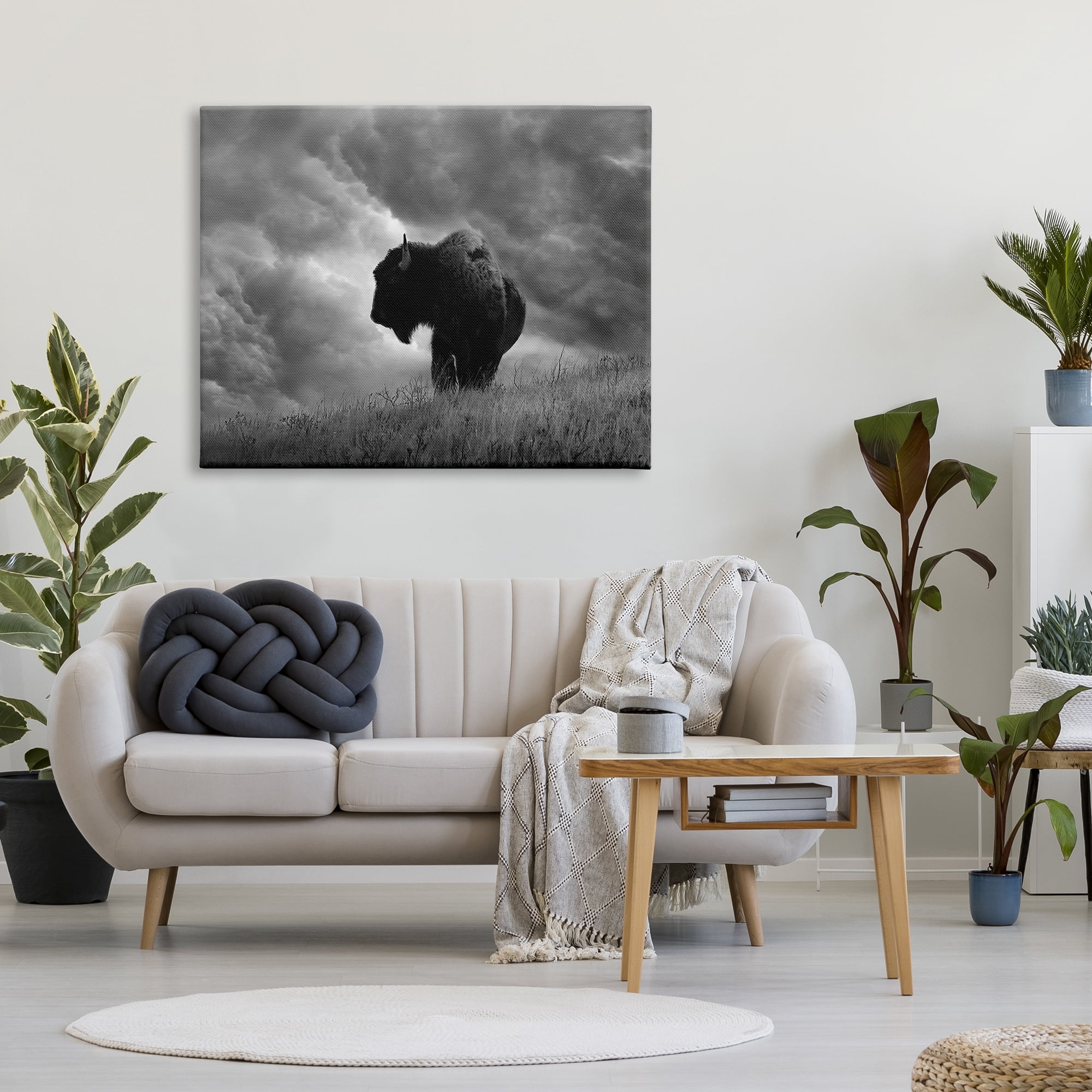 Stupell Industries Ox in Cloudy Landscape Animals & Insects Photography Gallery Wrapped Canvas Art Print Wall Art, 48 x 36
