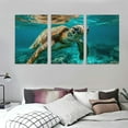 thumbnail image 3 of JRXY Turtle Swiming Under The Sea Art Wall Decor Oil Painting 12x16in x3 12x16x3pcs, 3 of 4
