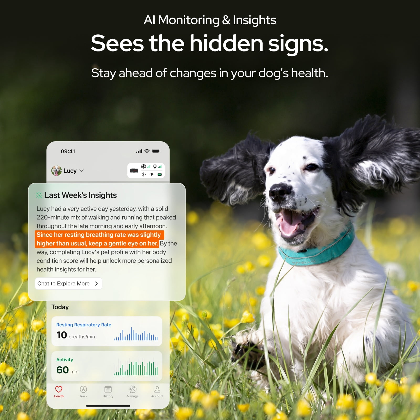 SATELLAI Wireless Dog Fence & GPS Dog Collar with AI Health Insights, Two-Way Audio, Precise Tracking, 3-Day Battery Life, IP68 Waterproof, Blue
