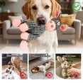 thumbnail image 5 of BotaniNest 2 In 1 Indestructible Interactive For With Squeaker Multifunctional Made Of Soft Dogs, 5 of 5
