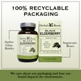 thumbnail image 5 of Herbal Roots Organic Black Elderberry Capsules, Max Strength, Made with Organic Sambucus , 60 Vegan and Pure Capsules, 5 of 9