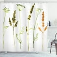 thumbnail image 1 of Ambesonne Watercolor Shower Curtain, Wild Plants Herbs, 69"Wx75"L, Vermilion Dark Green, 1 of 3