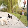 thumbnail image 7 of VIVAGLORY Dog Leash with Padded Handle, Reflective Nylon Lead, Small, Grey, 6 ft, 7 of 7