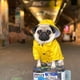 thumbnail image 5 of Chubasquero para perro con botones reflectantes, cremallera, impermeable, resistente al agua, cordón ajustable, capucha desmontable, 5 of 5
