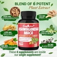 thumbnail image 3 of Suplemento De Raíz De Maca Ashwagandha-7000mg Equivalente A Base De Hierbas De Jengibre De Cúrcuma-Apoya El Estrés , El Estado De Ánimo Y La Fuerza-Cápsulas, 3 of 4
