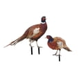 thumbnail image 4 of Figuras de faisán para decoración de suelo, manualidades, adornos con estacas de animales fáciles de usar AB, 4 of 9