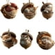 thumbnail image 2 of 6 adornos navideños de resina con forma de avellana de bosque., 2 of 7