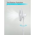 thumbnail image 3 of BLACK+DECKER 16-Inch Pedestal Fan, BFP16MXW, Oscillating Fan for Home and Office, Standing Fan with 3 Speed Settings, Height Adjustable with Adjustable Head Tilt, White, 3 of 7